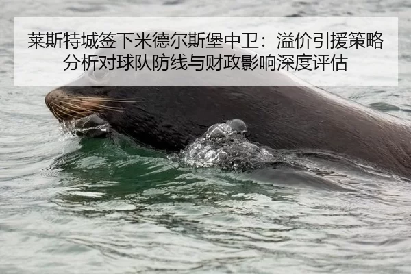莱斯特城签下米德尔斯堡中卫：溢价引援策略分析对球队防线与财政影响深度评估
